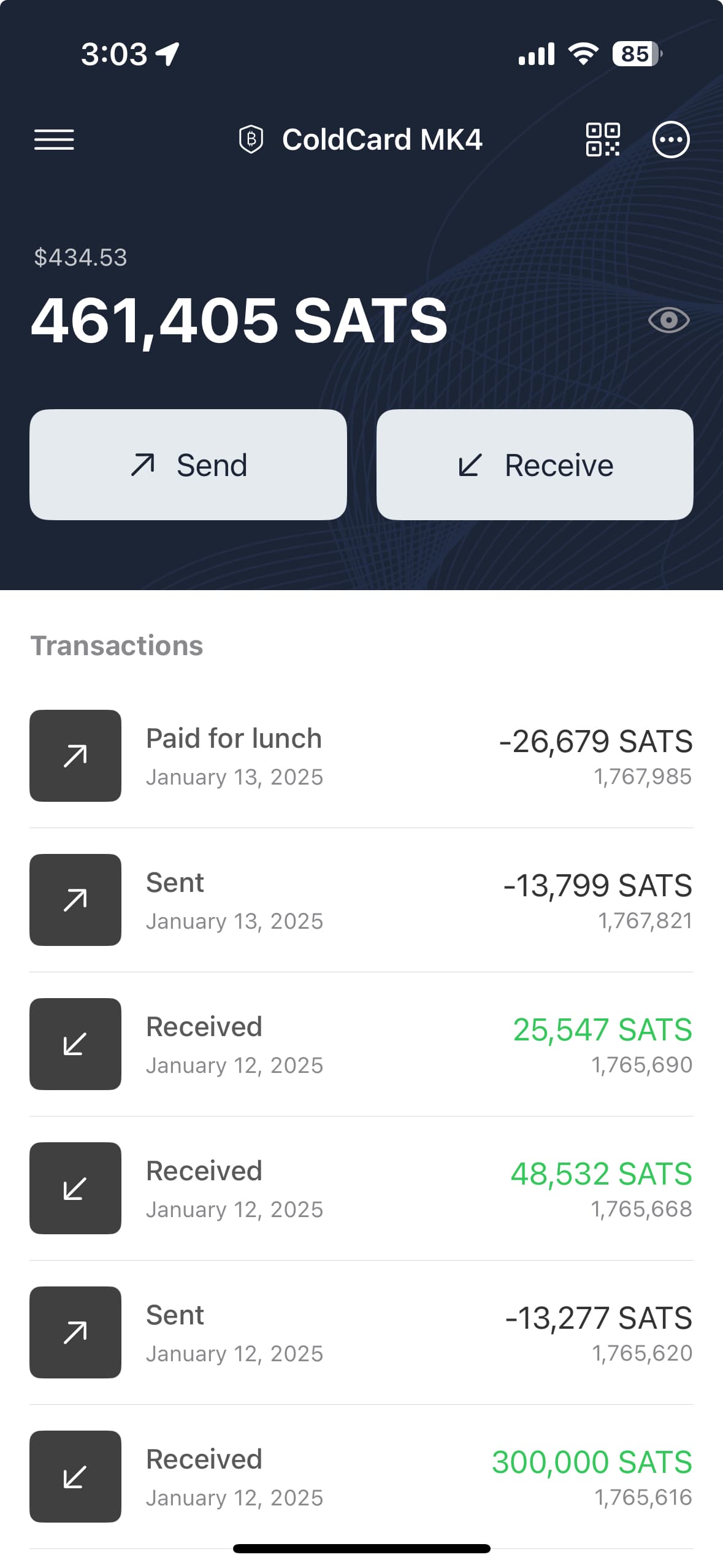main wallet screenshot